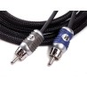 KICKER Q SERIES 5 Meter 2 Channel RCA